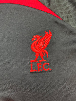 2022/23 Liverpool Training Shirt (L) 9/10