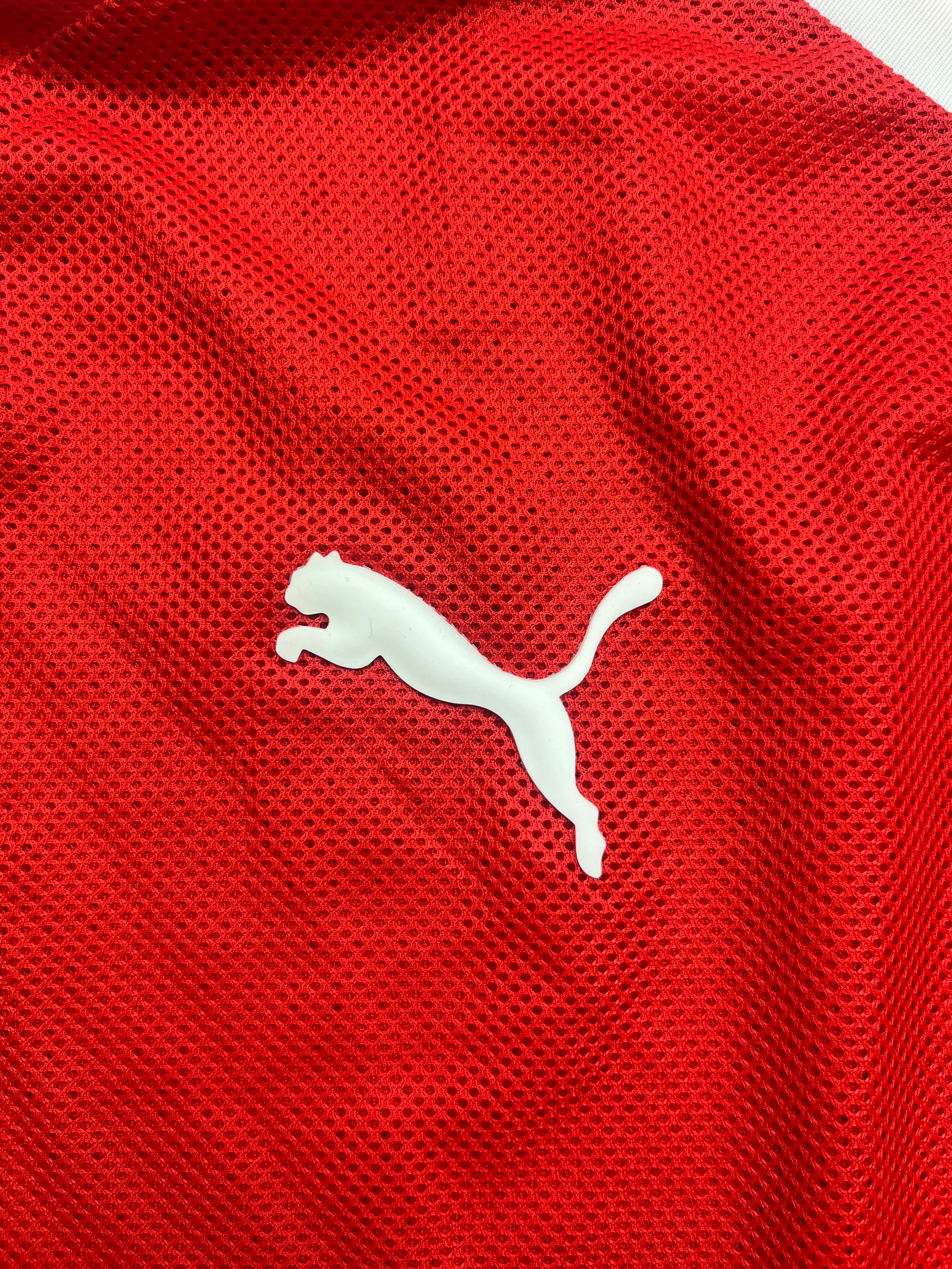 2008/10 Switzerland Home Shirt (L) 9/10