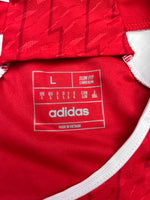 2023/24 Arsenal Home *Recalled* Shirt (L) 9.5/10