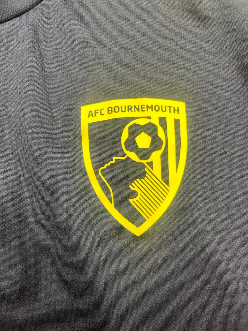 2023/24 Bournemouth Training Shirt (L) 9/10